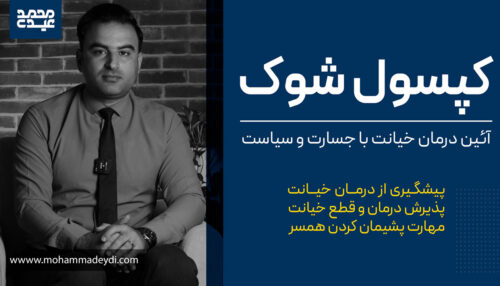 کپسول شوک (تنها راه درمان خیانت و نقشه راه پشیمان کردن همسر)